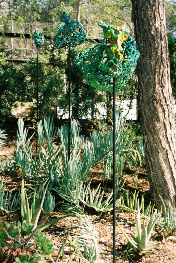 Paola-Hivelin_Sofia-Gomez-Fonzo-FEB-Analog-4